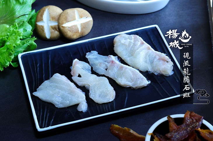 現流龍膽石斑.jpg