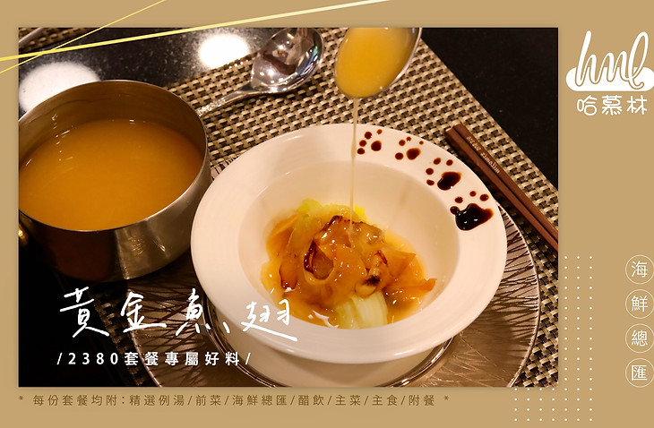 黃金魚翅拷貝.jpg